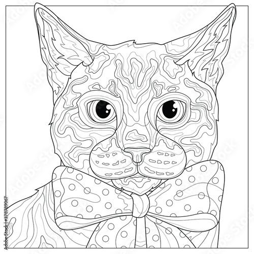 Cat with a bow.Animal.Coloring book antistress for children and adults. Illustration isolated on white background.Black and white drawing.Zen-tangle style.
