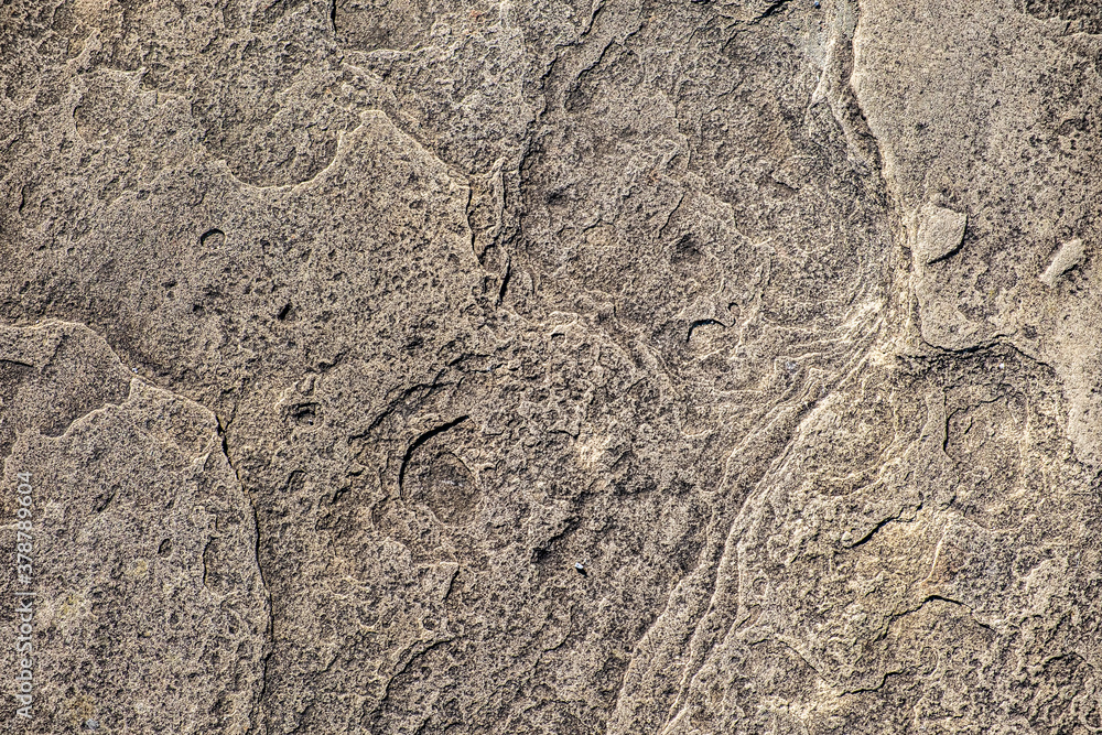 Closeup of paving stones showing the texture and patterns in the stone surface. Closeup of paving stones showing the texture and patterns in the stone surface.