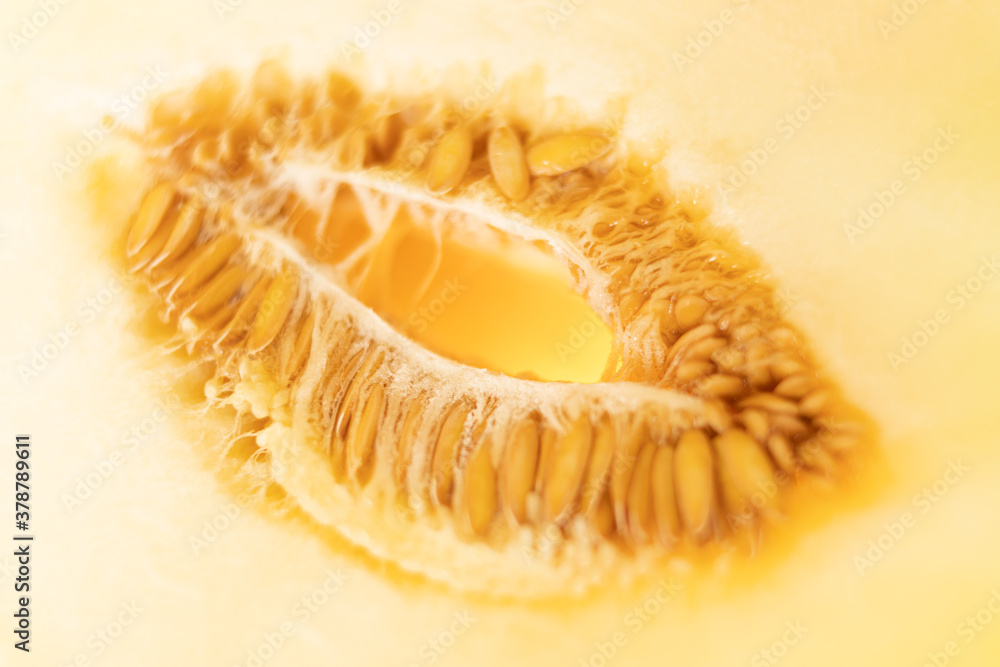Macro photo of melon with illumination from the bottom of the fruit. Photoconcept about women's health. Half melon as a symbol of vagina. Macro photo of melon with illumination from the bottom of the fruit. Photoconcept about women's health. Half melon as a symbol of vagina.