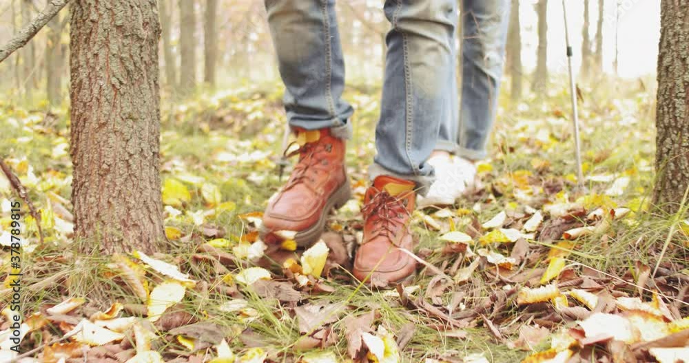Two people in jeans walk in the woods. Couple walk in the forest. Active rest day. Healthy outdoor lifestyle. High quality 4k footage Two people in jeans walk in the woods. Couple walk in the forest. Active rest day. Healthy outdoor lifestyle. High quality 4k footage
