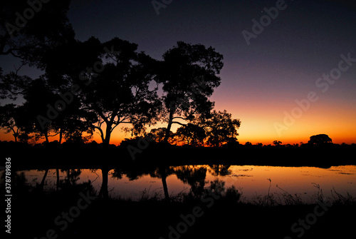 Pantanal © Pulsar Imagens