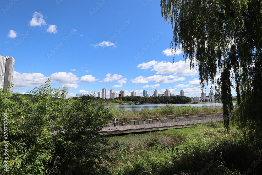 Fototapeta premium Park lake path on a clear day