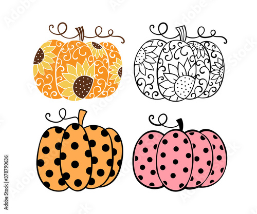 Draw collection pumpkin. For autumn and Halloween. © anchalee