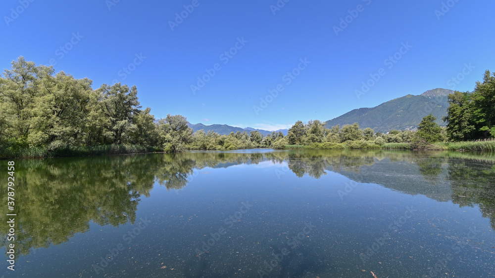 Panorama di un bel lago circondato da una grande palude con alberi verdi e cielo blu