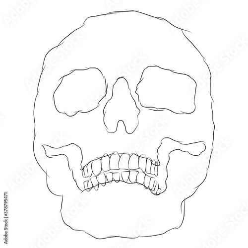 Skull siiple scetch form. White scull drawn forms.