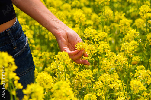 Mid section view of a young woman picking a flower 