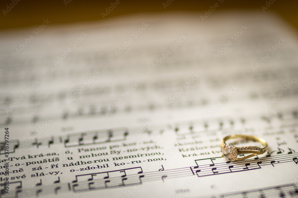 Wedding rings macro photography Wedding rings macro photography