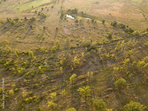 Wallpaper Mural Aerial drone view. Green country meadows in the rays of the sunset. Torontodigital.ca
