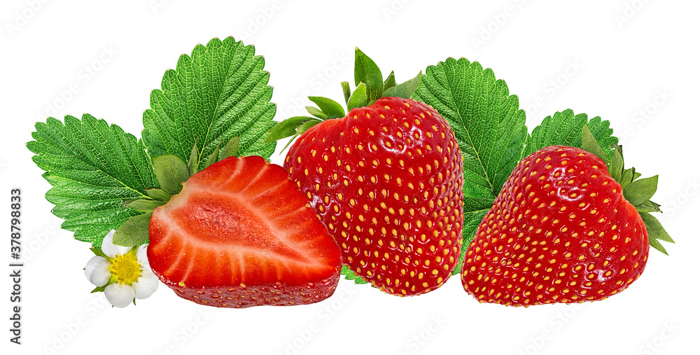 Fresh strawberries with leaves and flower isolated on white background with clipping path Fresh strawberries with leaves and flower isolated on white background with clipping path