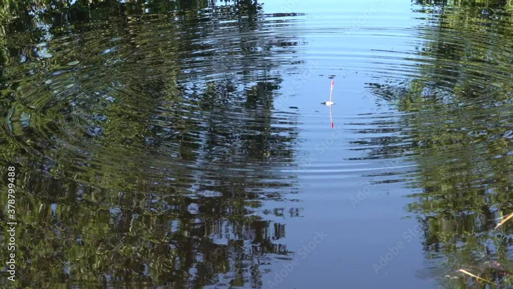 man throws a fishing rod with a float. The fish starts to peck. But no fish man throws a fishing rod with a float. The fish starts to peck. But no fish