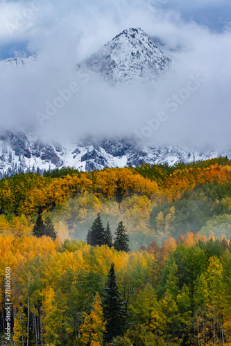 Beautiful Autumn Color in the Colorado Rocky Mountains on Kebler Pass near Crested Butte.