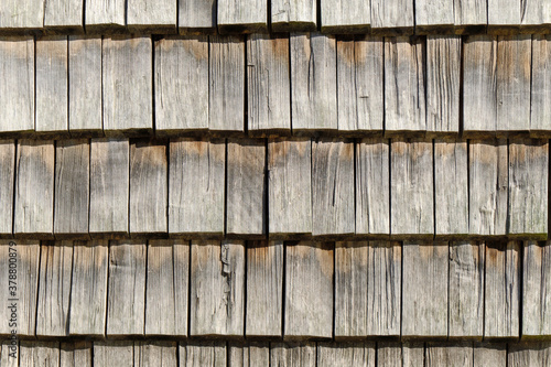 Obraz na płótnie The wooden wall of the building. The pattern of wooden wall. w salonie