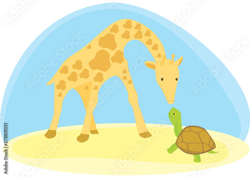 Giraffe and a tortoise looking at each other