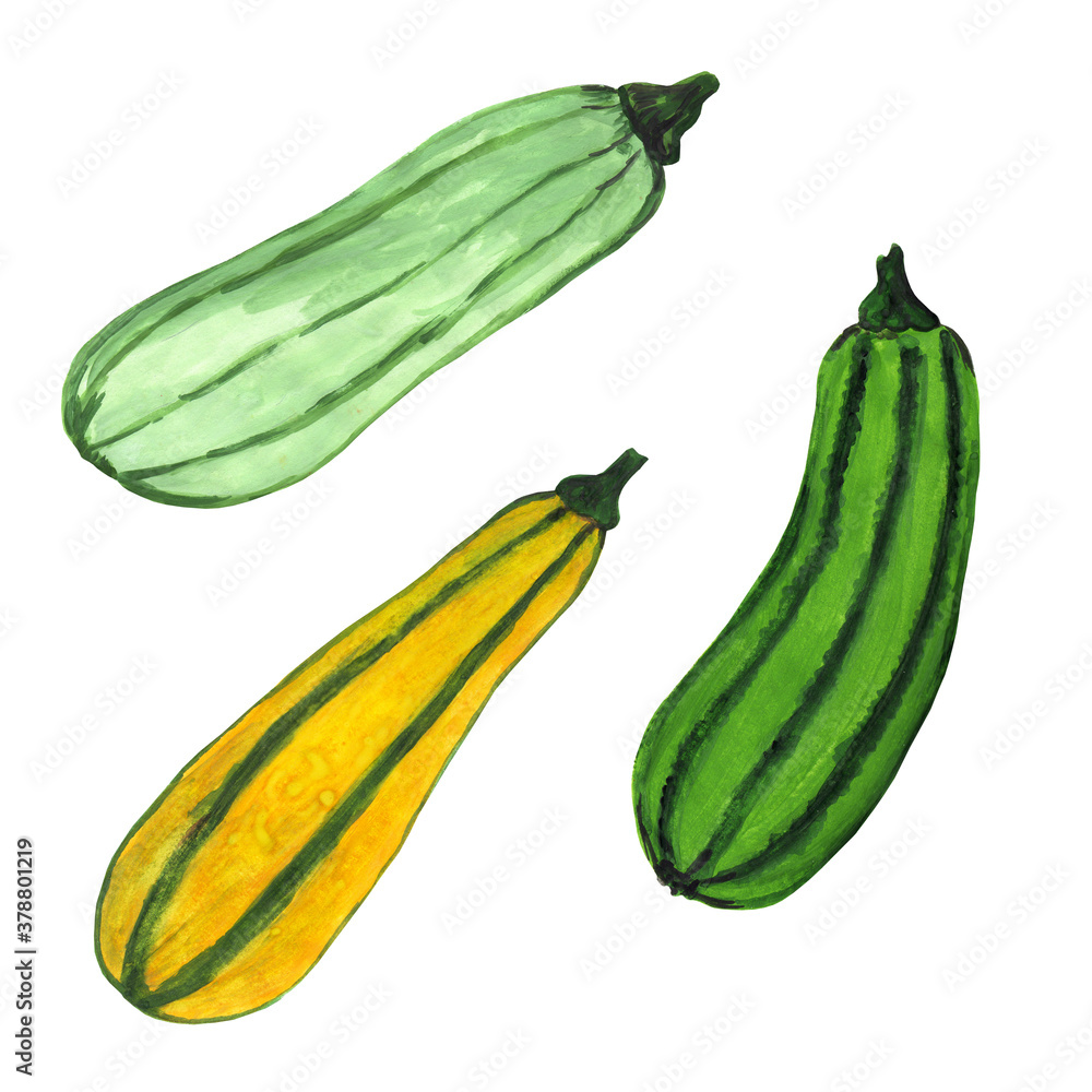 Set of three pumpkins, gourd, squash. Fruit with an orange, yellow, green, white, gray thick rind. Autumn harvest. Thanksgiving Day, Halloween decorations. Hand drawn illustration.
Set of three pumpkins, gourd, squash. Fruit with an orange, yellow, green, white, gray thick rind. Autumn harvest. Thanksgiving Day, Halloween decorations. Hand drawn illustration.