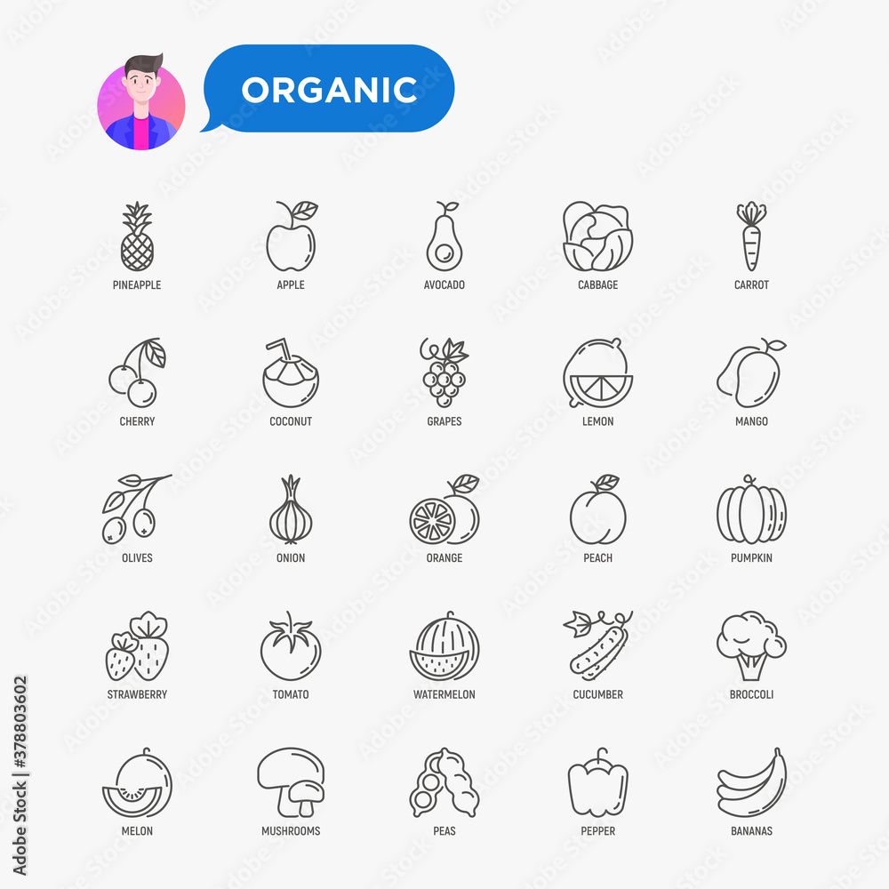 Fruits, vegetables, berries and nuts thin line icons set: pineapple, apple, avocado, cabbage, carrot, cherry, coconut, grapes, tomato, broccoli. Vector illustration.