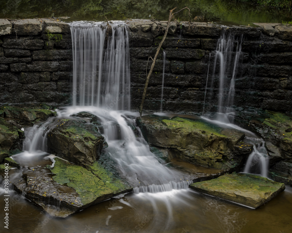 Fototapeta premium waterfall in the park