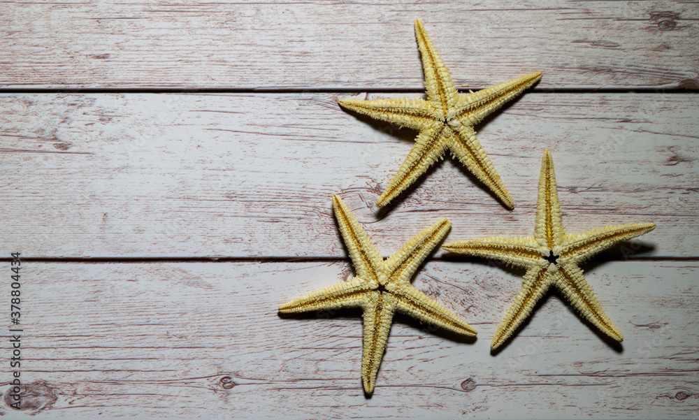 Three starfish on a wooden background. Concept - vacation, holiday memories, greeting card. Three starfish on a wooden background. Concept - vacation, holiday memories, greeting card.
