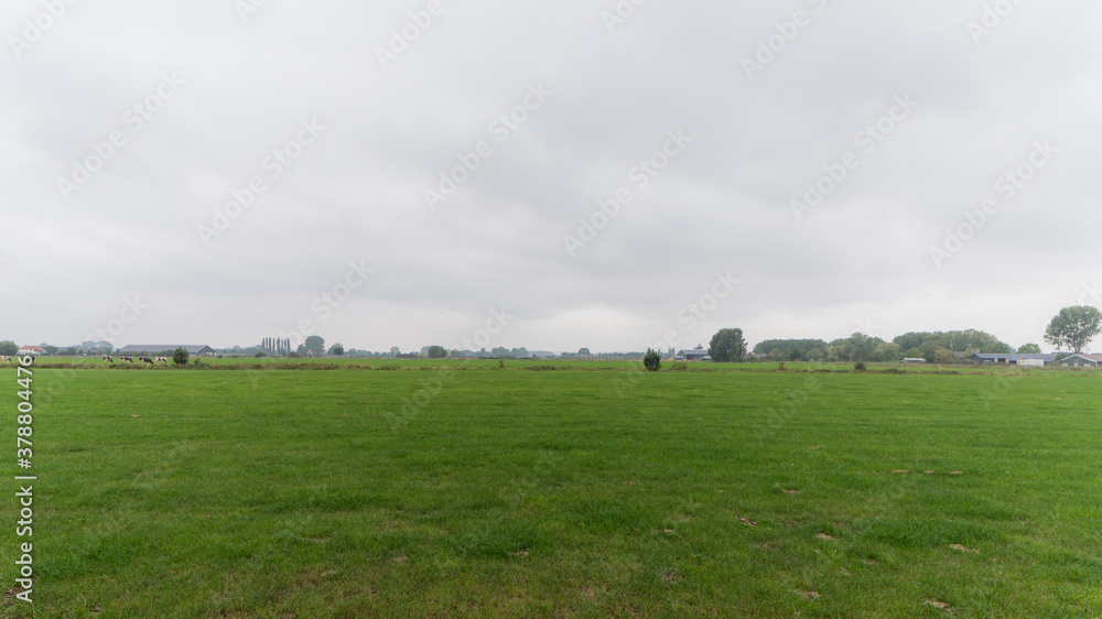 Agricultural field near Millingen aan de Rijn, The Netherlands