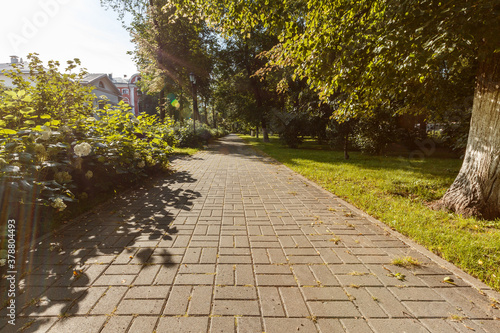 Alley in the city park. Backlighting. Lens flare effect.