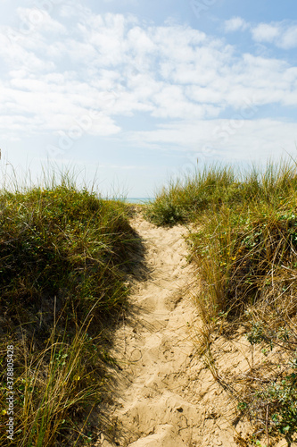 Dunes de Mont St Frieux  Pas-de-Calais  France