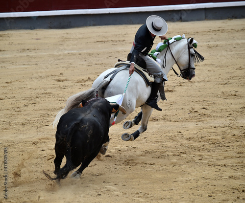 toreo a caballo en españa