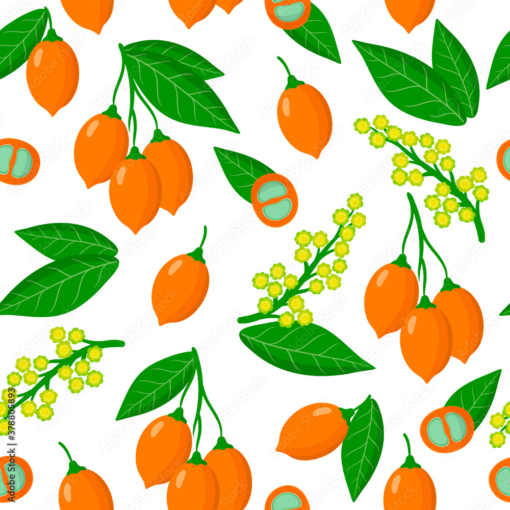 Obraz premium Vector cartoon seamless pattern with Bunchosia argentea fruit exotic fruits, flowers and leafs on white background