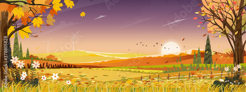 Autumn landscapes of Countryside with sunset and purple sky,Panoramic of mid autumn with farm field, mountains, wild grass and leaves falling from trees in orange foliage. Wonderland in fall season