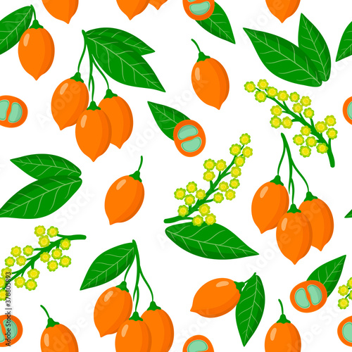 Vector cartoon seamless pattern with Bunchosia argentea fruit exotic fruits, flowers and leafs on white background photo