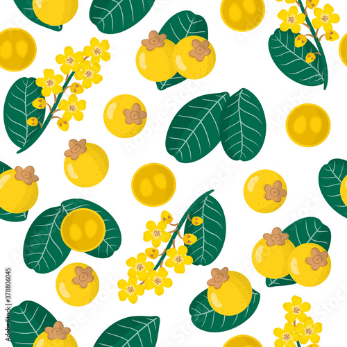 Vector cartoon seamless pattern with Byrsonima crassifolia or nance exotic fruits, flowers and leafs on white background