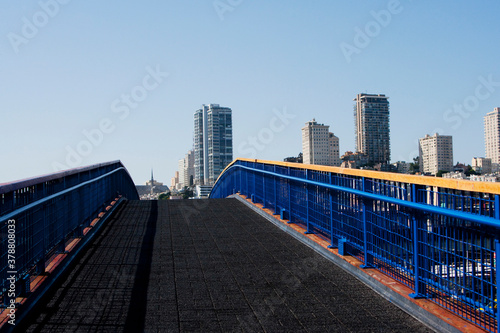 Bridge with buildings in the background  San Francisco  California  USA