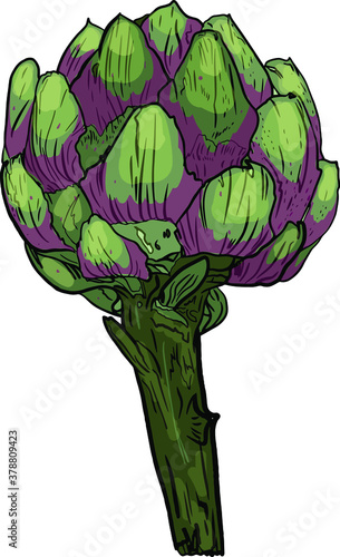 Vector illustration of artichoke in line isolated on a white background for printing on paper, clothes, logo, coloring, blank for designers