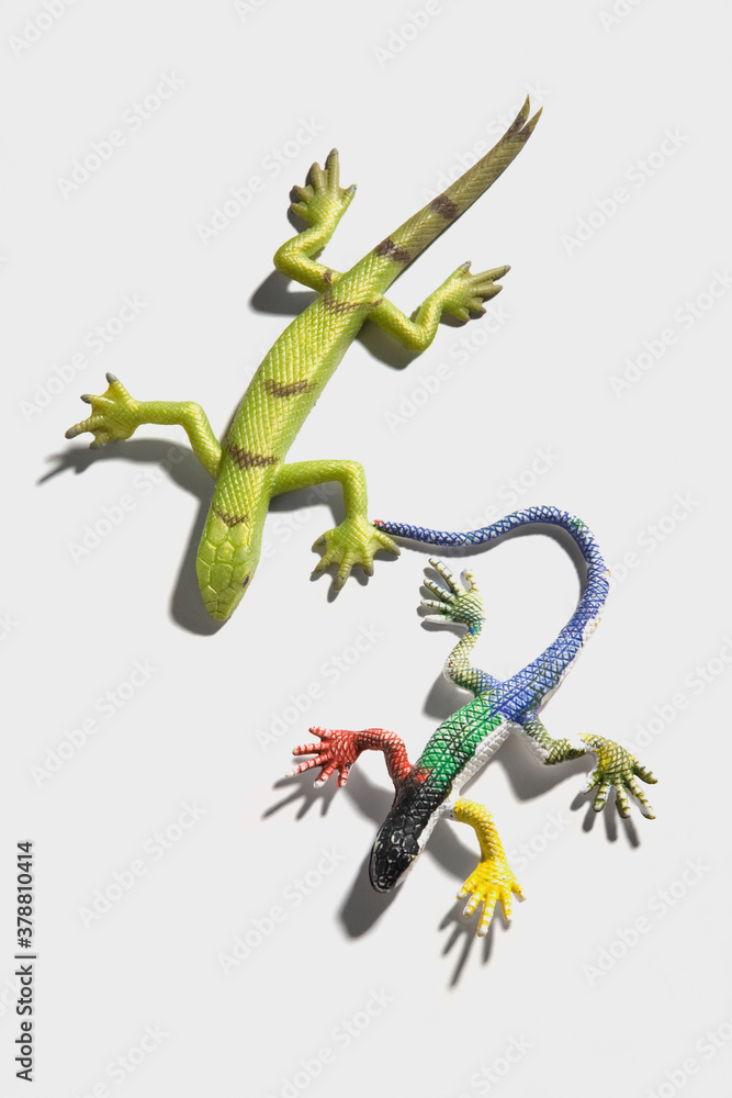 High angle view of two plastic lizards