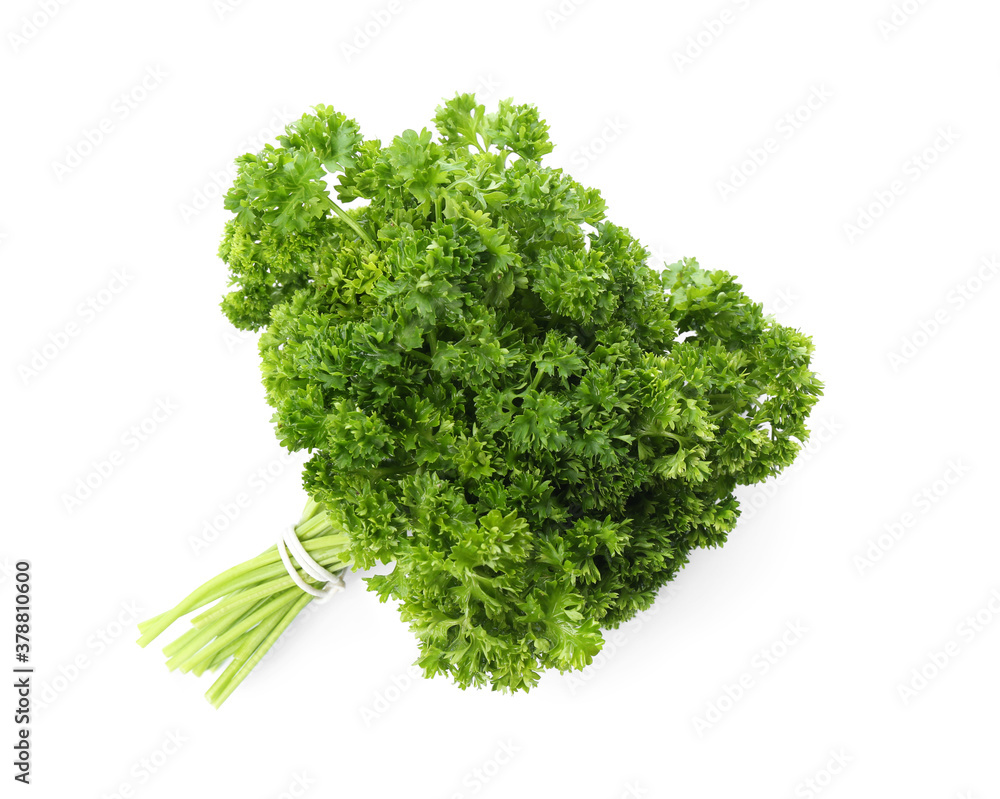Bunch of fresh curly parsley on white background Bunch of fresh curly parsley on white background