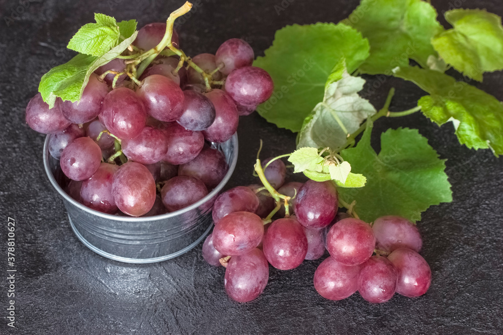 grapes and vines on a dark background close-up. background with pink grapes. grapes and vines on a dark background close-up. background with pink grapes.