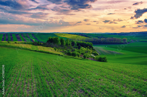 Rural spring landscape