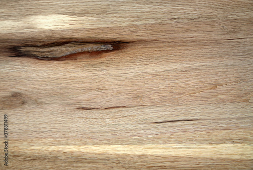 real natural wooden texture material 