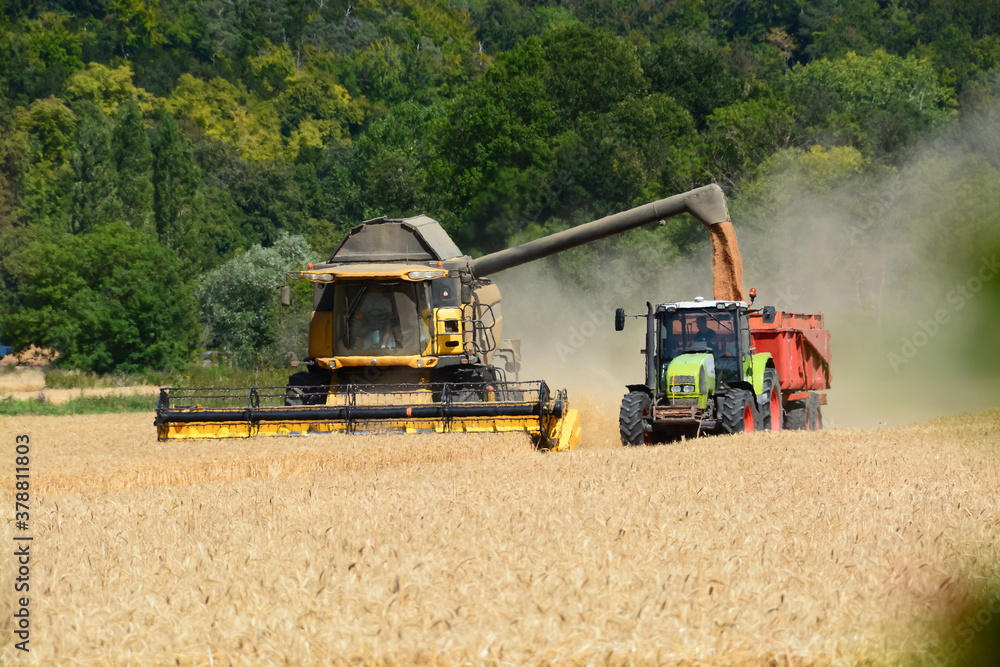 Obraz premium Moisson