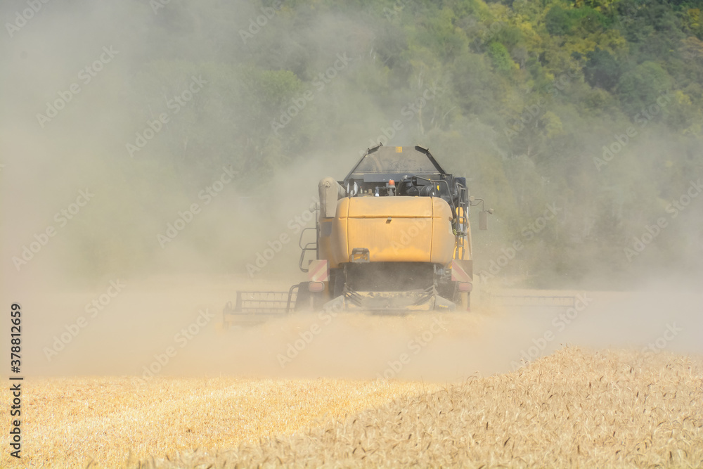 Obraz premium Moisson