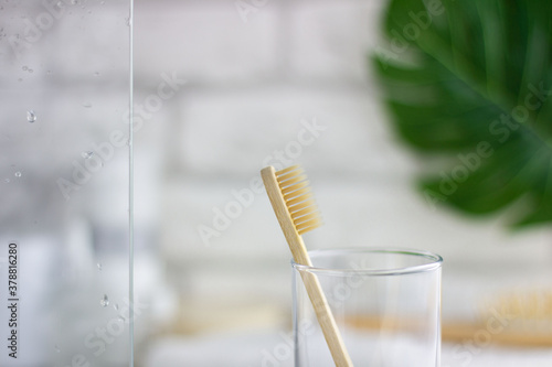 Toothbrushes on a blurry bathroom background