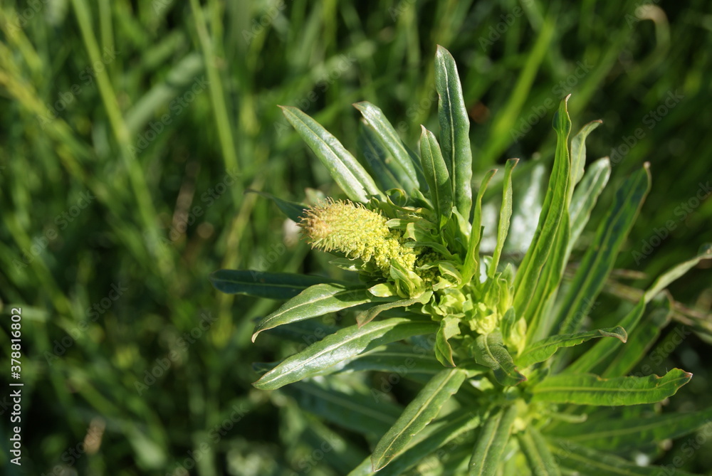 Garden, landscape and nature photography Garden, landscape and nature photography