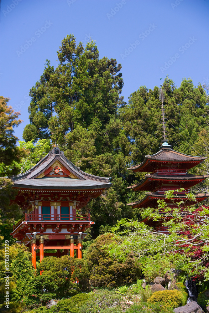 Pagodas in a park, Japanese Tea Garden, Golden Gate Park, San Francisco, California, USA Pagodas in a park, Japanese Tea Garden, Golden Gate Park, San Francisco, California, USA