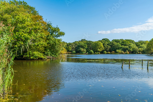 Connaught Water lake photo