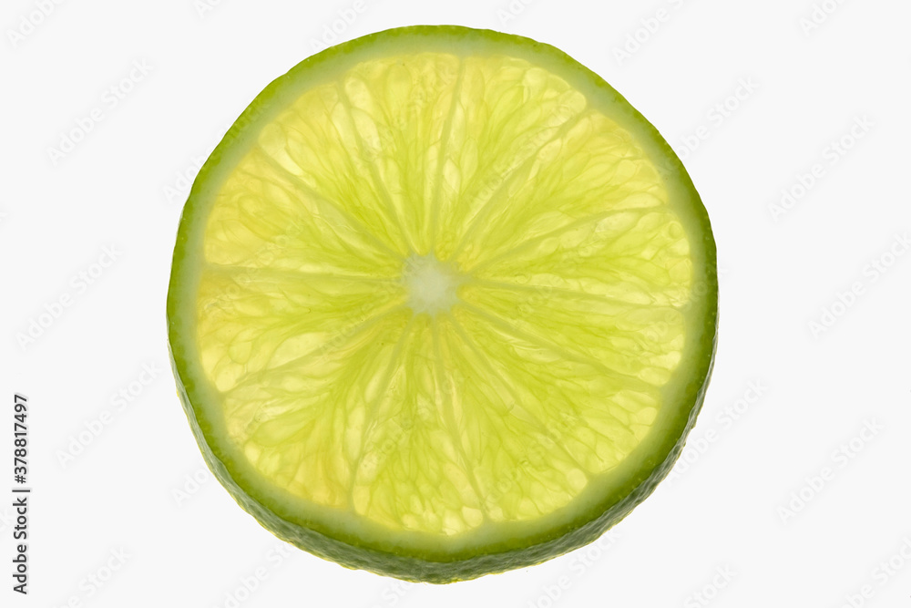 Close-up of a slice of lime Close-up of a slice of lime