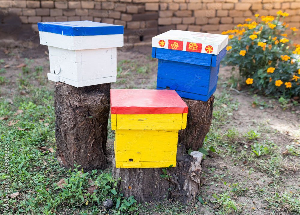 Small hives used to raise bee queens. Small hives used to raise bee queens.