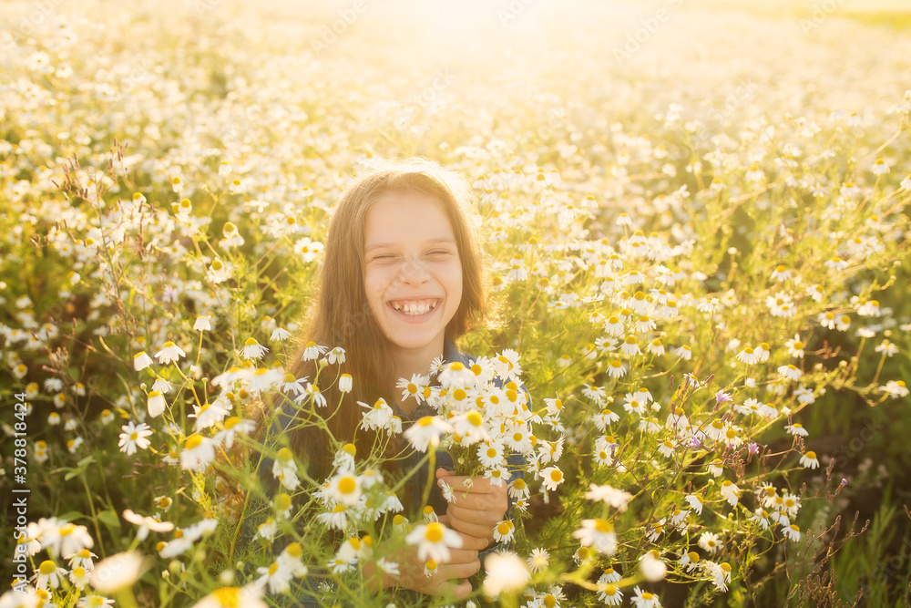 laughing girl in a field of daisies. Natural background. Floral background. laughing girl in a field of daisies. Natural background. Floral background.