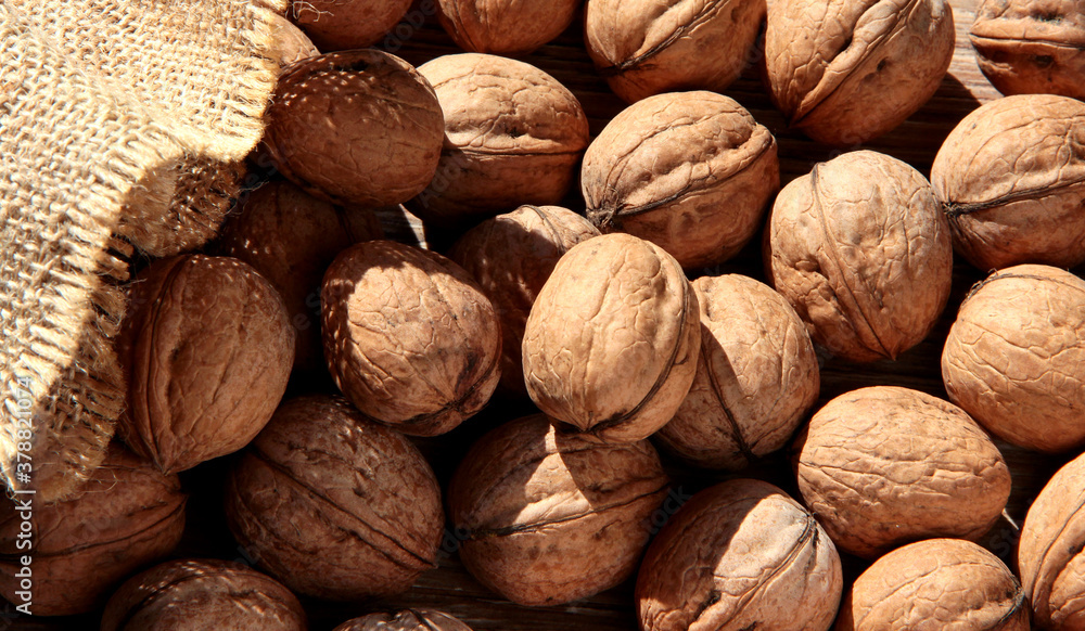 Walnuts are emptied out of the bag. Scattered nuts. Walnuts are emptied out of the bag. Scattered nuts.