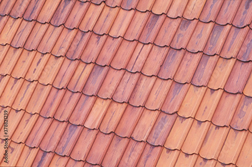 High angle view of roof tiles 
