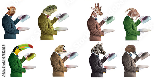 Foto groupe, animaux serveur, hybride, humain, animale,  restauration, hôtellerie, is