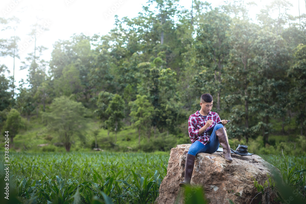 Young farmer sitting recording the growth of corn in corn fields on big stone, Agribusiness concept. Young farmer sitting recording the growth of corn in corn fields on big stone, Agribusiness concept.