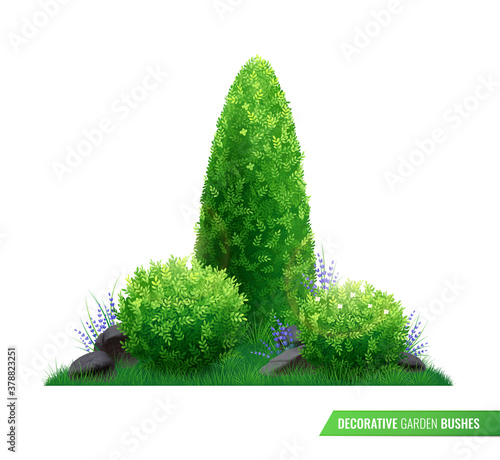 Decorative Garden Bushes Composition